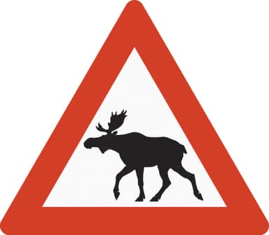 Fare for vilt i veibanen